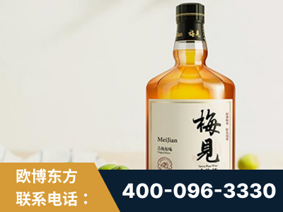 赤峰-梅见青梅酒